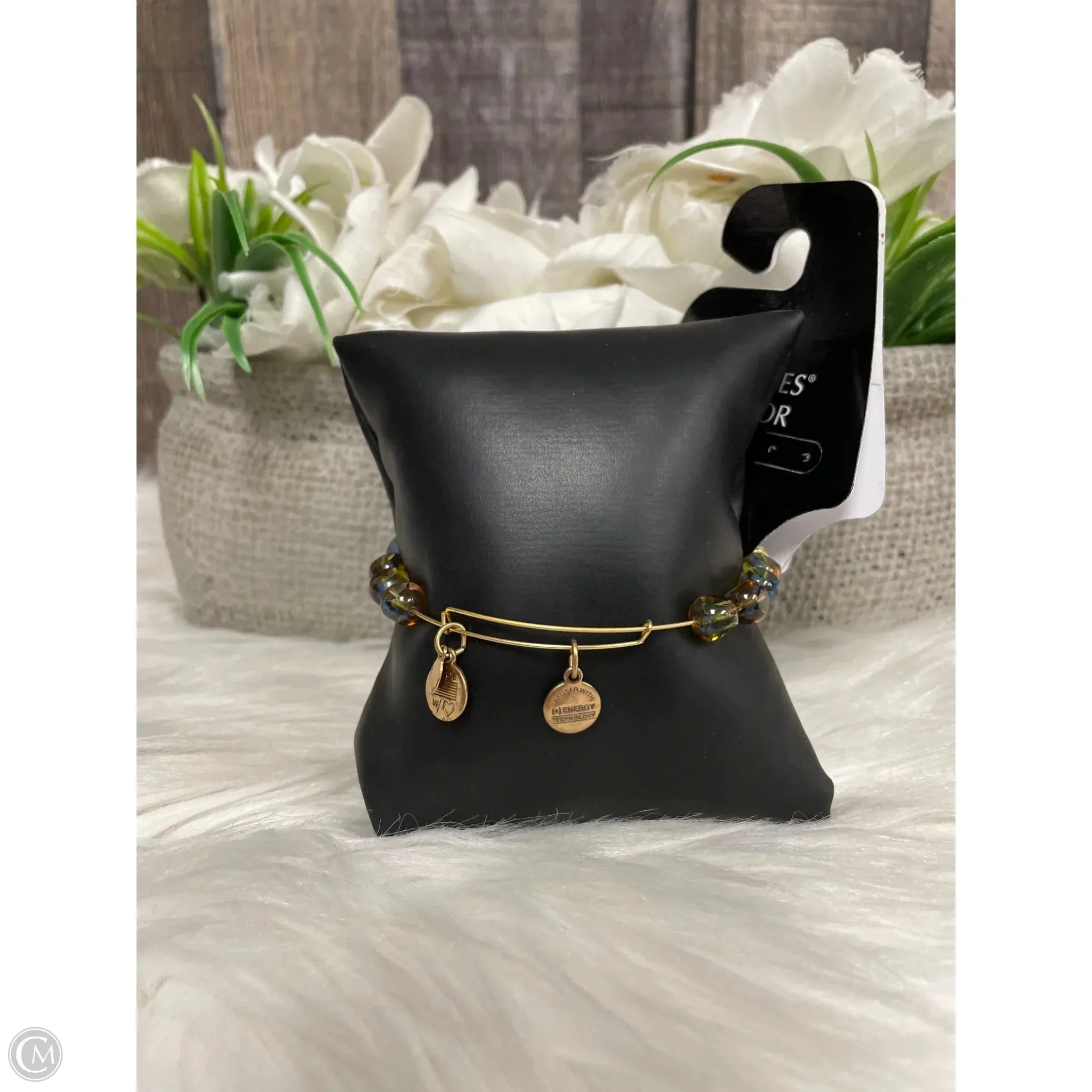 Bracelet Bangle By Alex And Ani