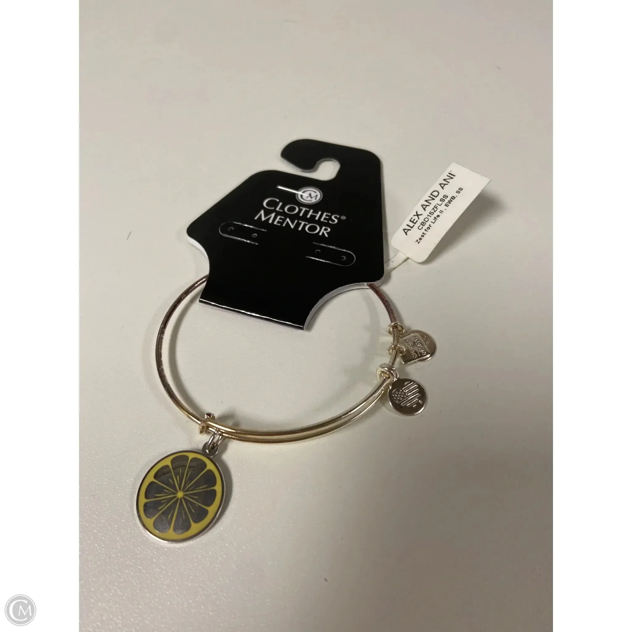 Bracelet Charm By Alex And Ani, Size: 1