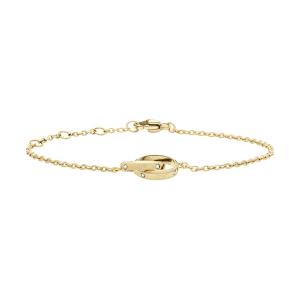 Daniel Wellington Classic Unity Lumine Bracelet Gold