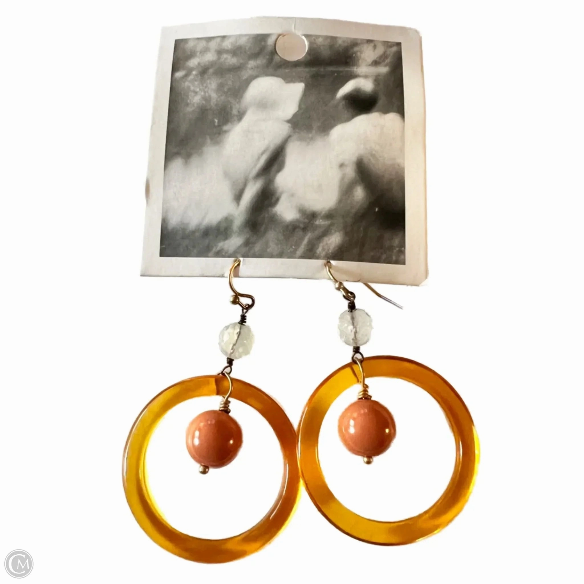 Earrings Dangle/drop By Anthropologie