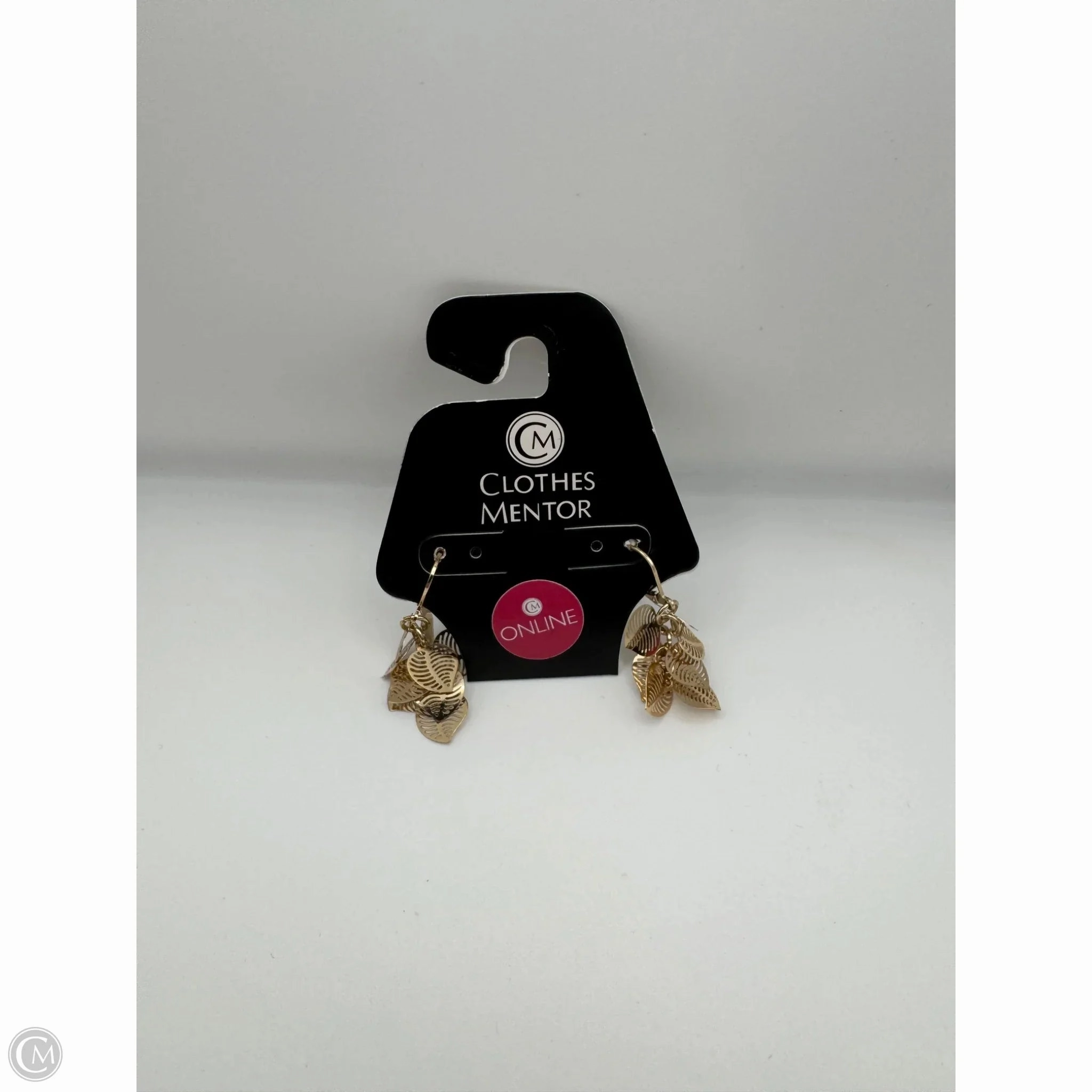 Earrings Dangle/drop By Clothes Mentor