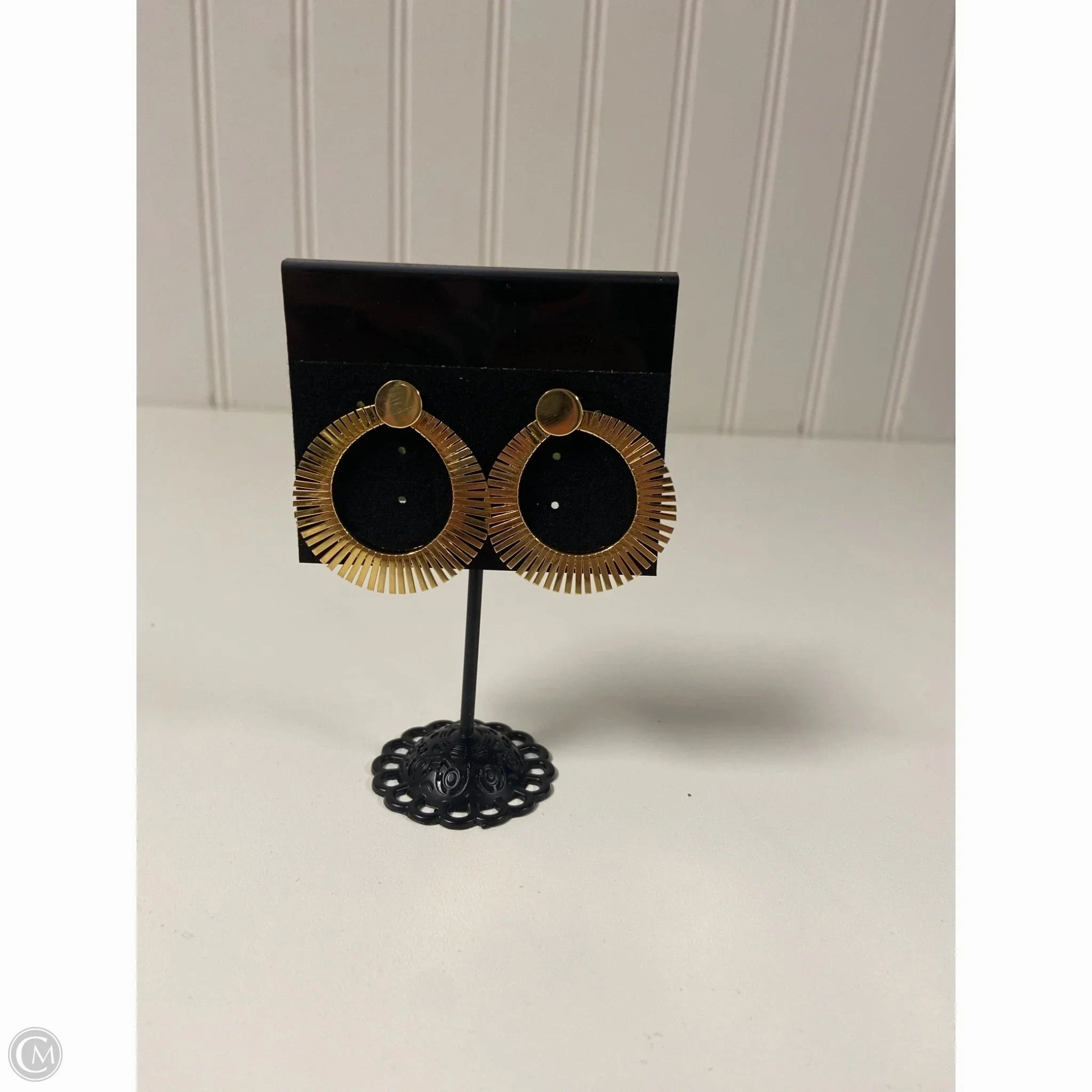 Earrings Dangle/drop By Clothes Mentor
