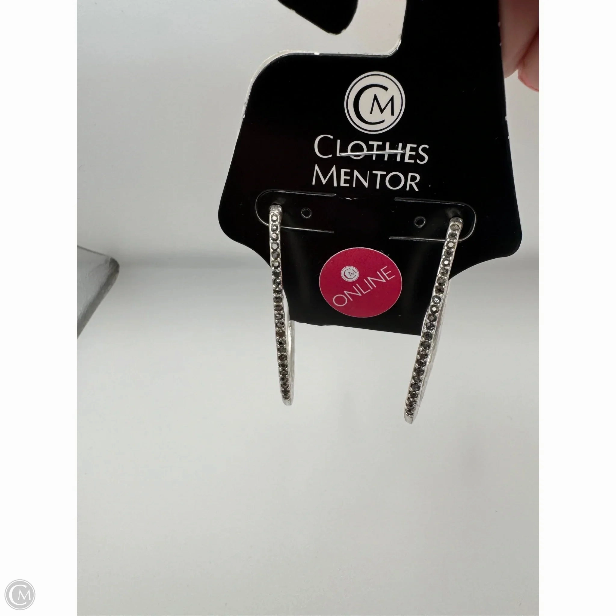 Earrings Dangle/drop By Clothes Mentor