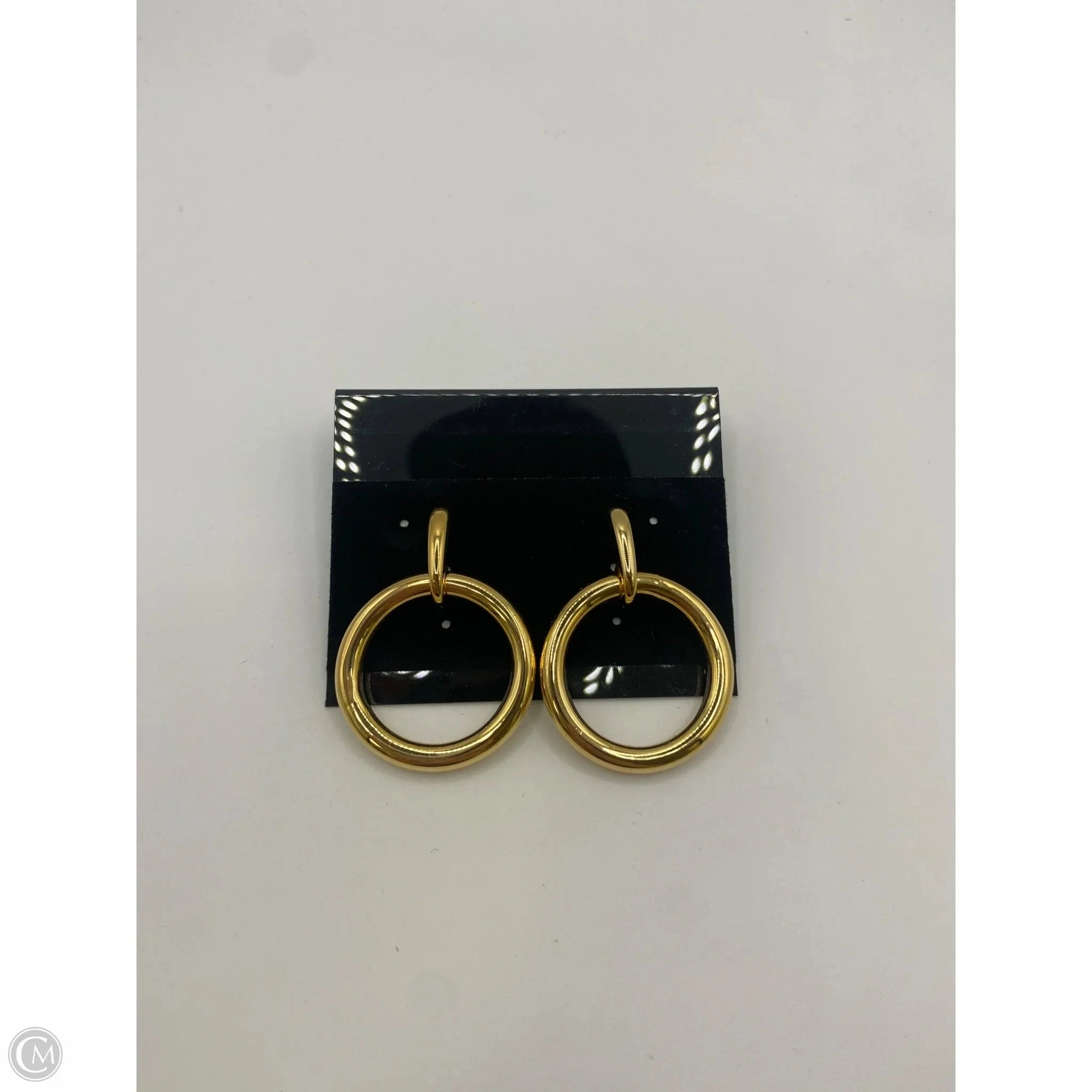 Earrings Dangle/drop By Clothes Mentor