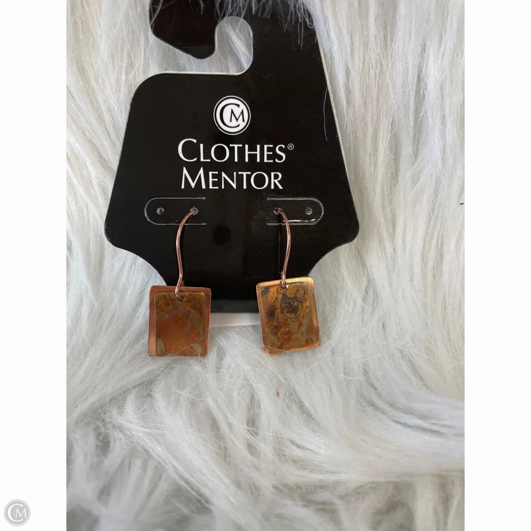 Earrings Dangle/drop By Clothes Mentor