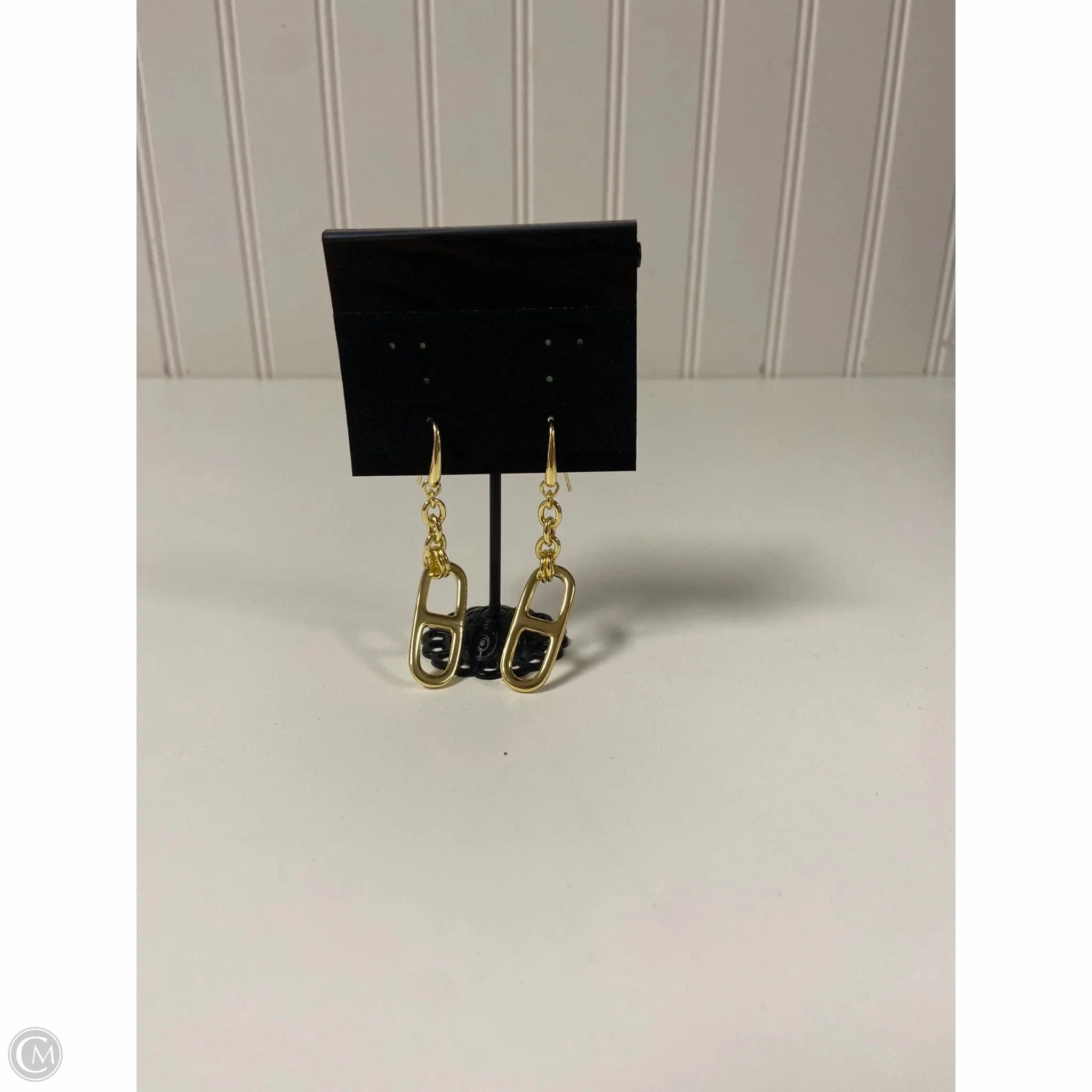 Earrings Dangle/drop By Clothes Mentor