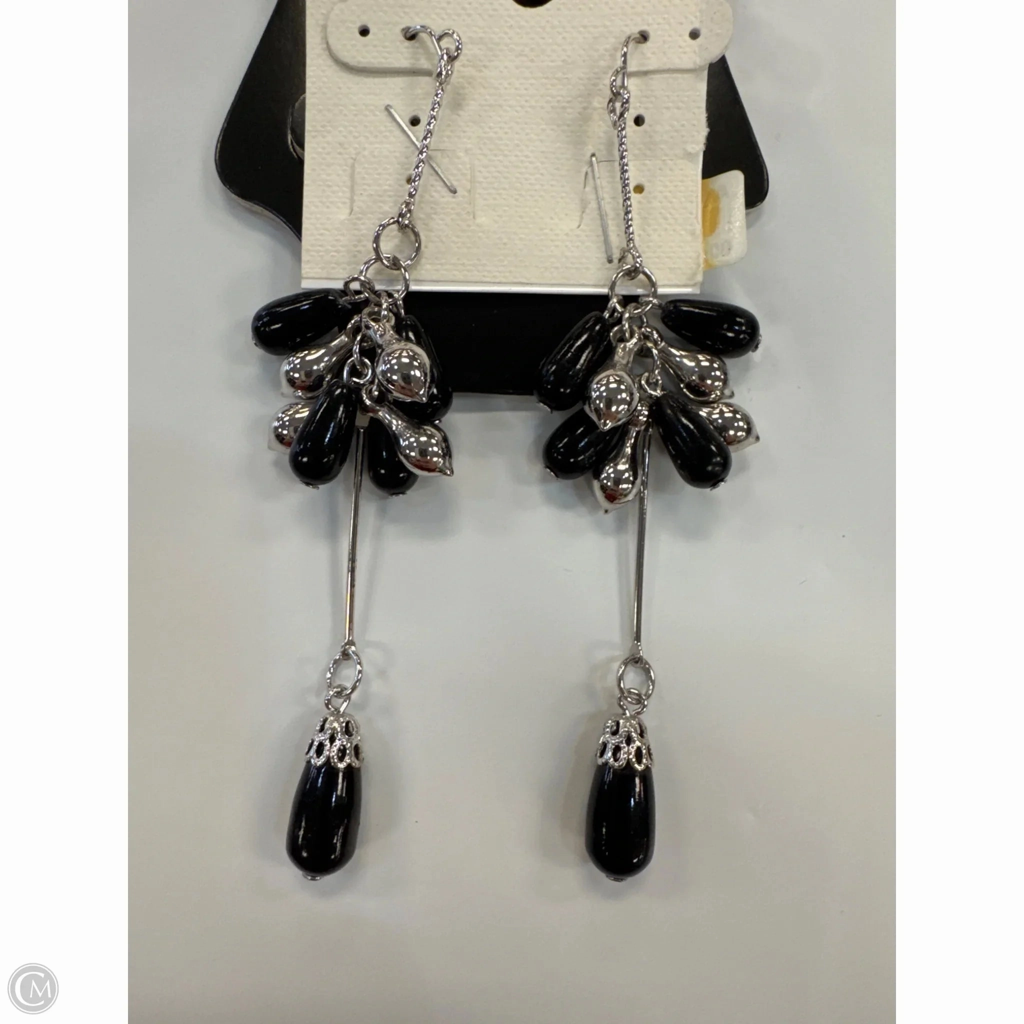 Earrings Dangle/drop By Clothes Mentor