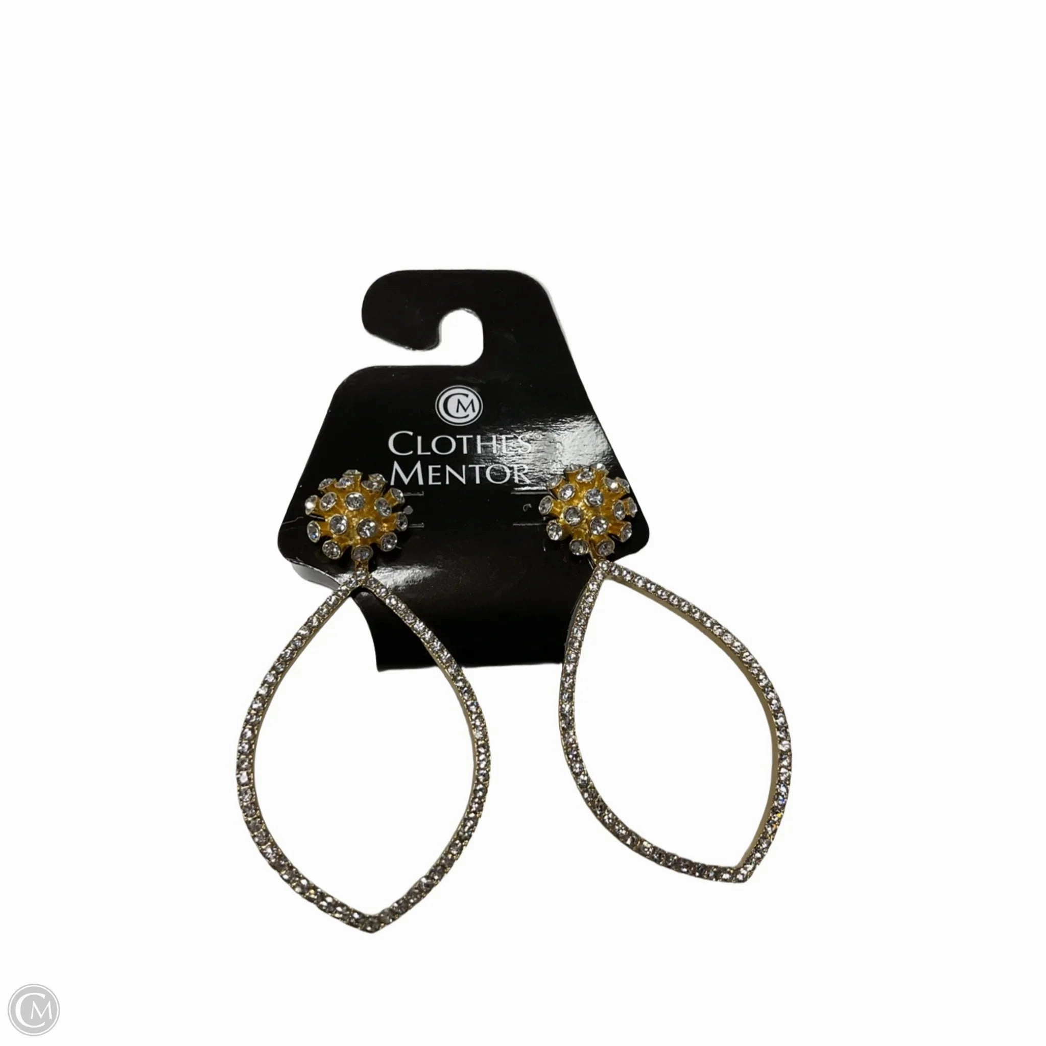 Earrings Dangle/drop By Clothes Mentor