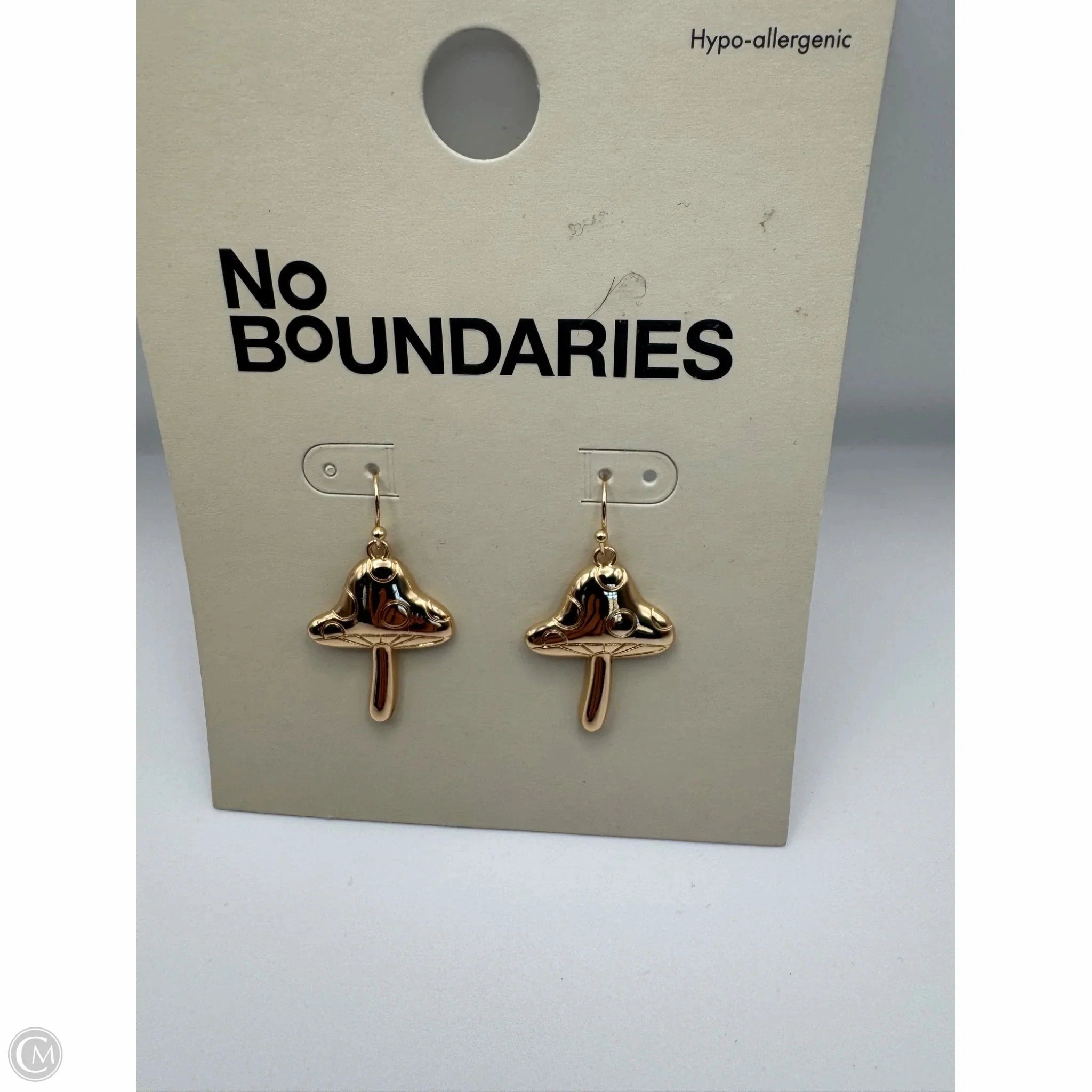 Earrings Dangle/drop By No Boundaries