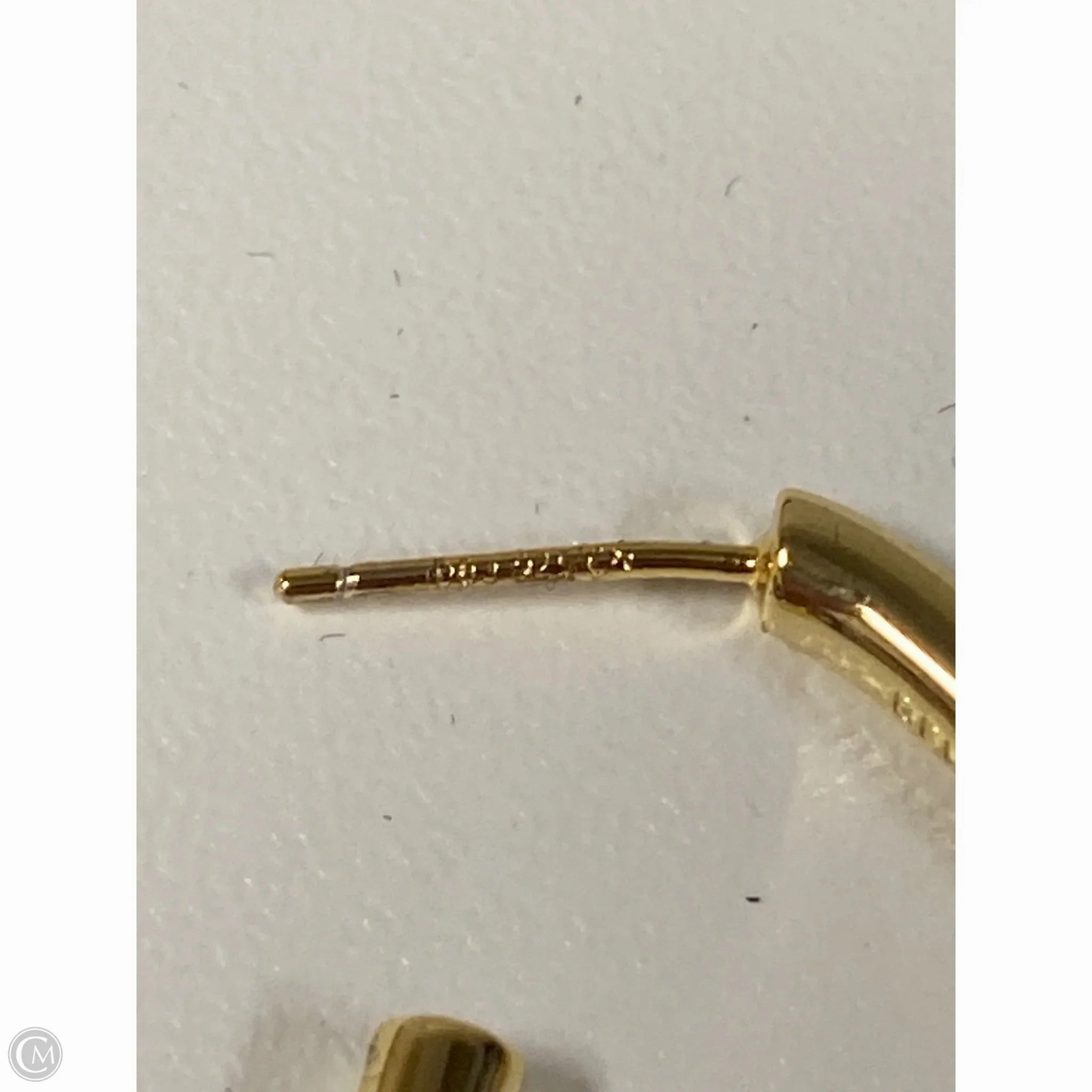 Earrings Hoop By Clothes Mentor
