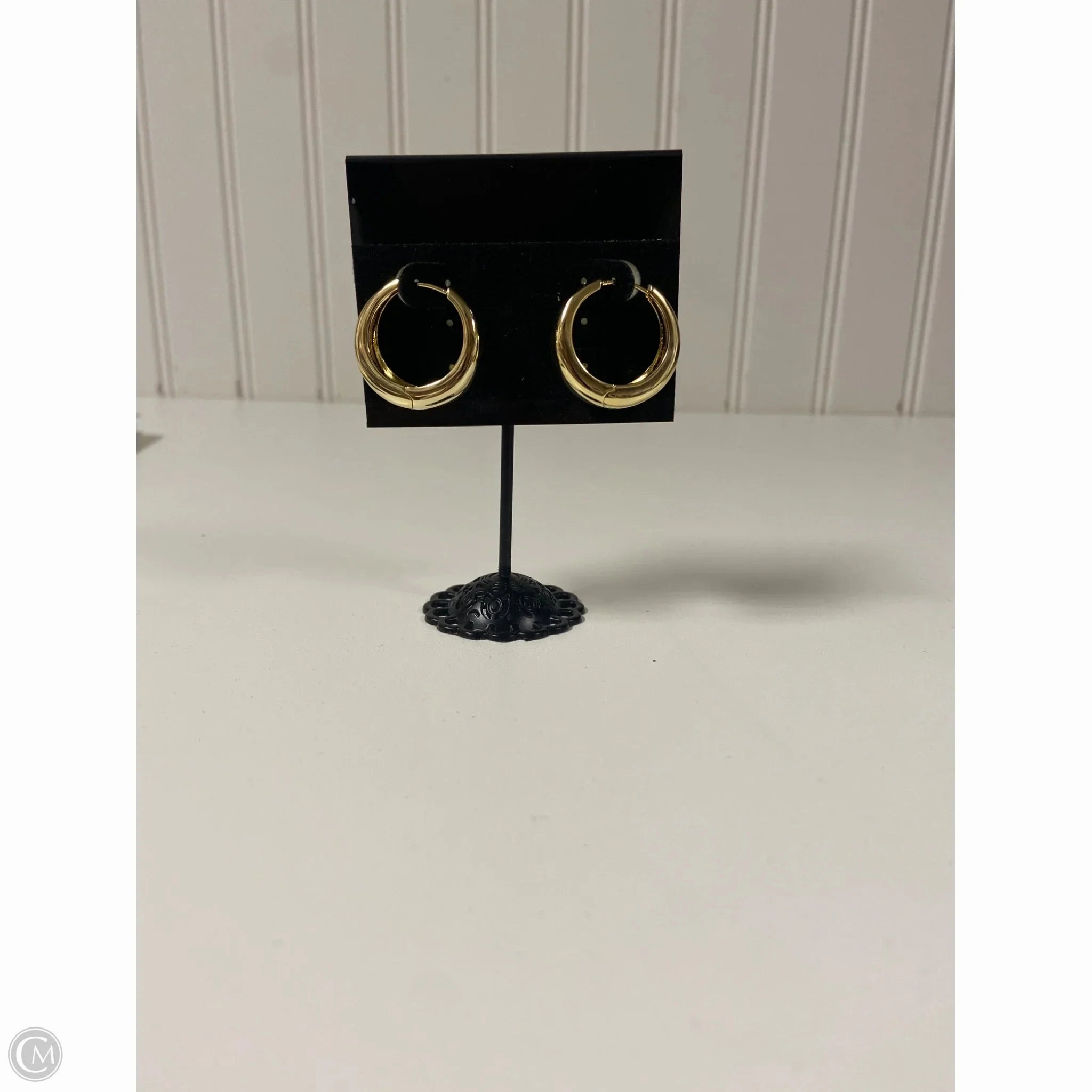 Earrings Hoop By Clothes Mentor