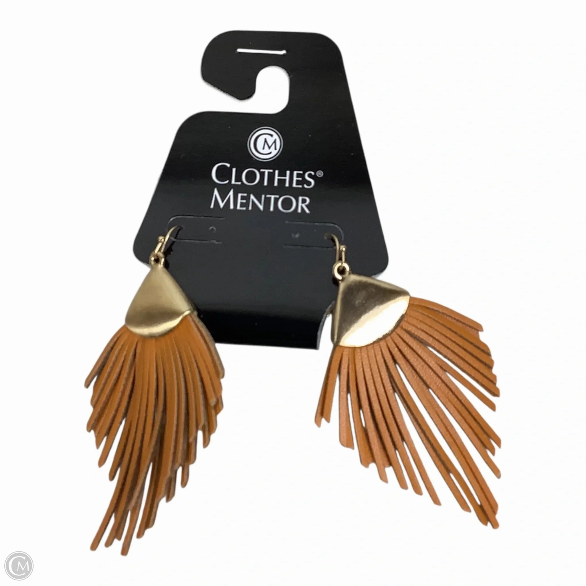 Earrings Hoop By Clothes Mentor