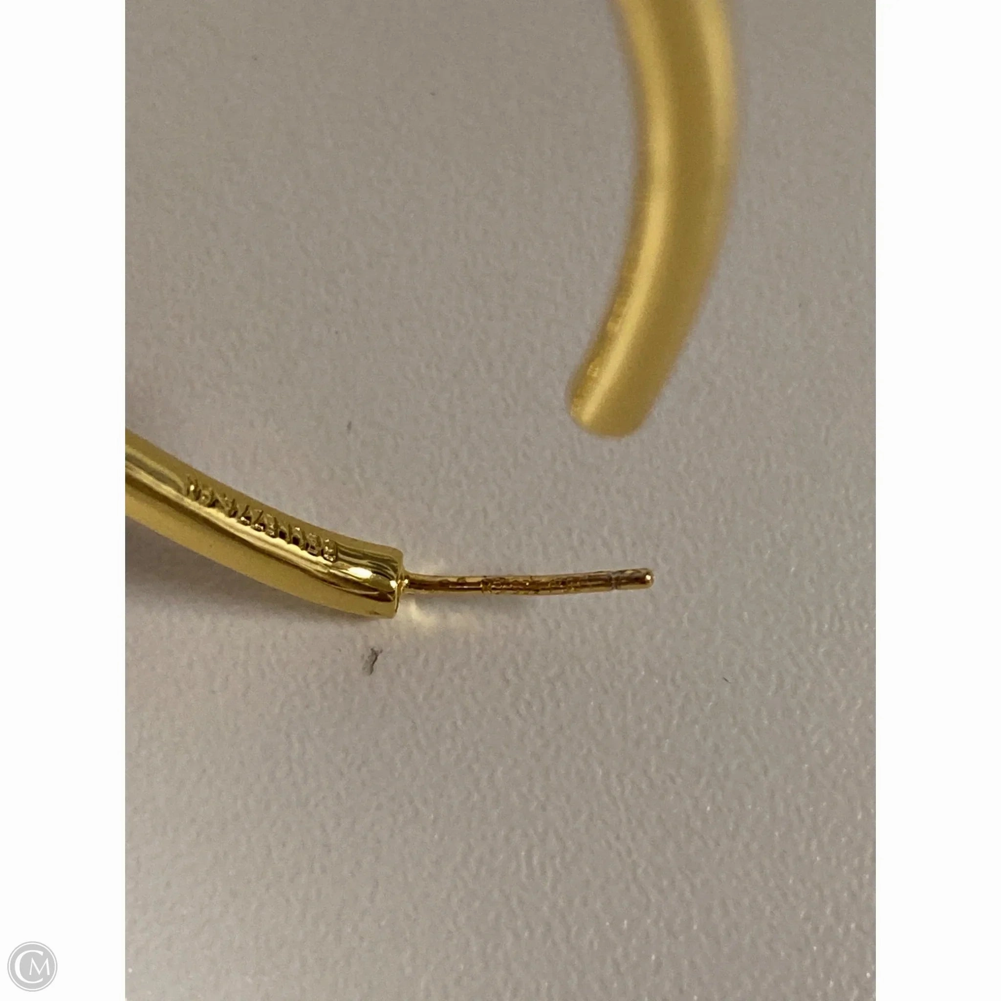 Earrings Hoop By Clothes Mentor