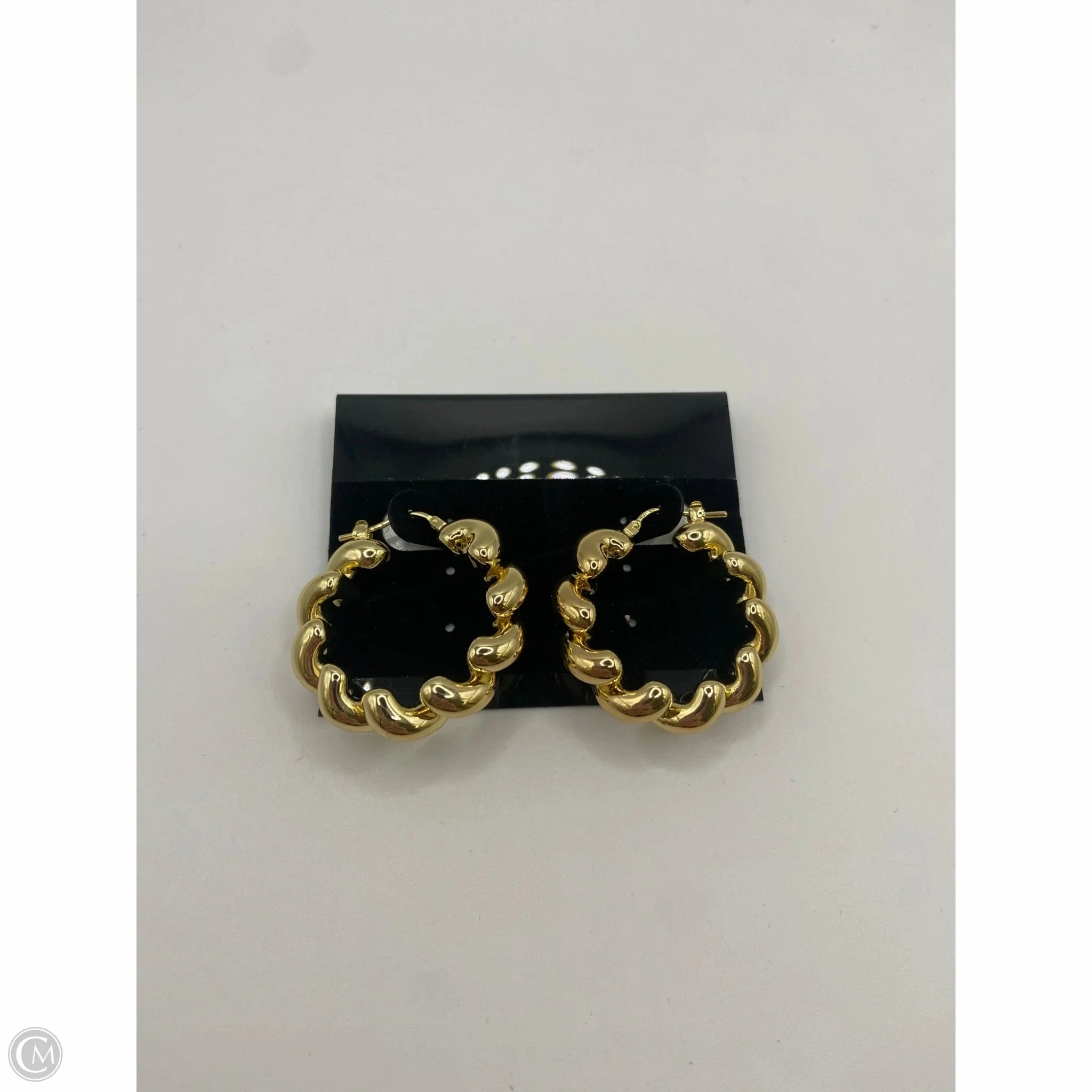 Earrings Hoop By Clothes Mentor