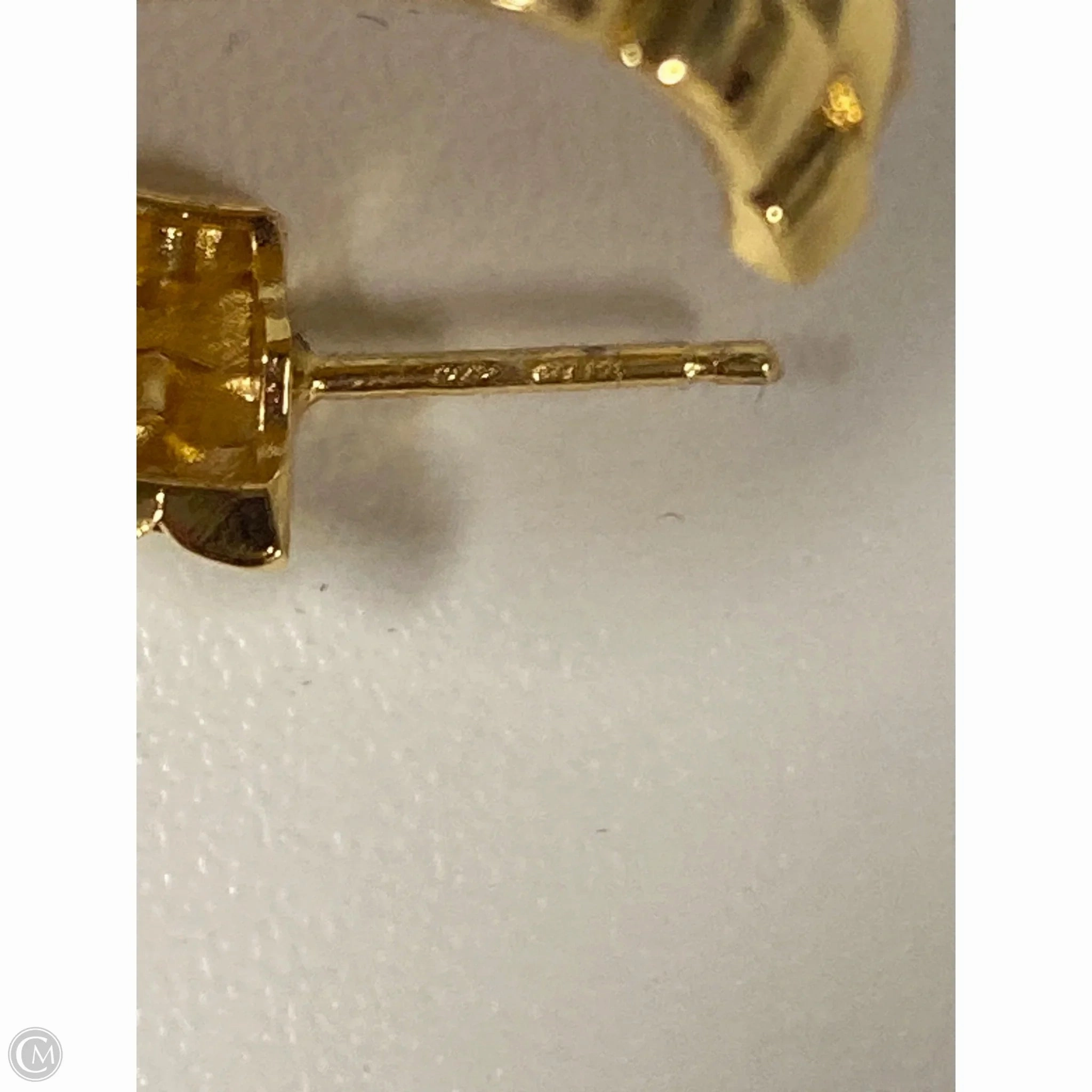 Earrings Hoop By Clothes Mentor