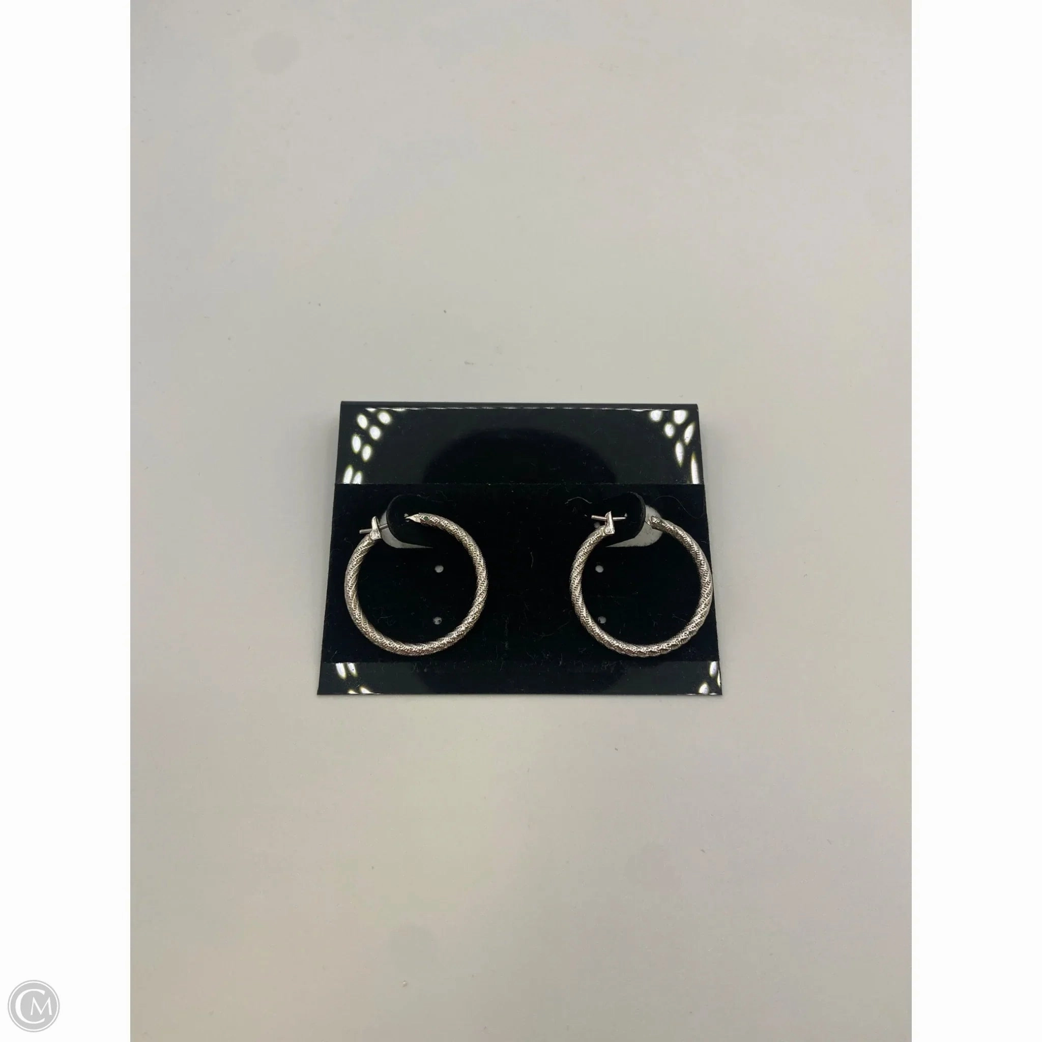 Earrings Hoop By Clothes Mentor