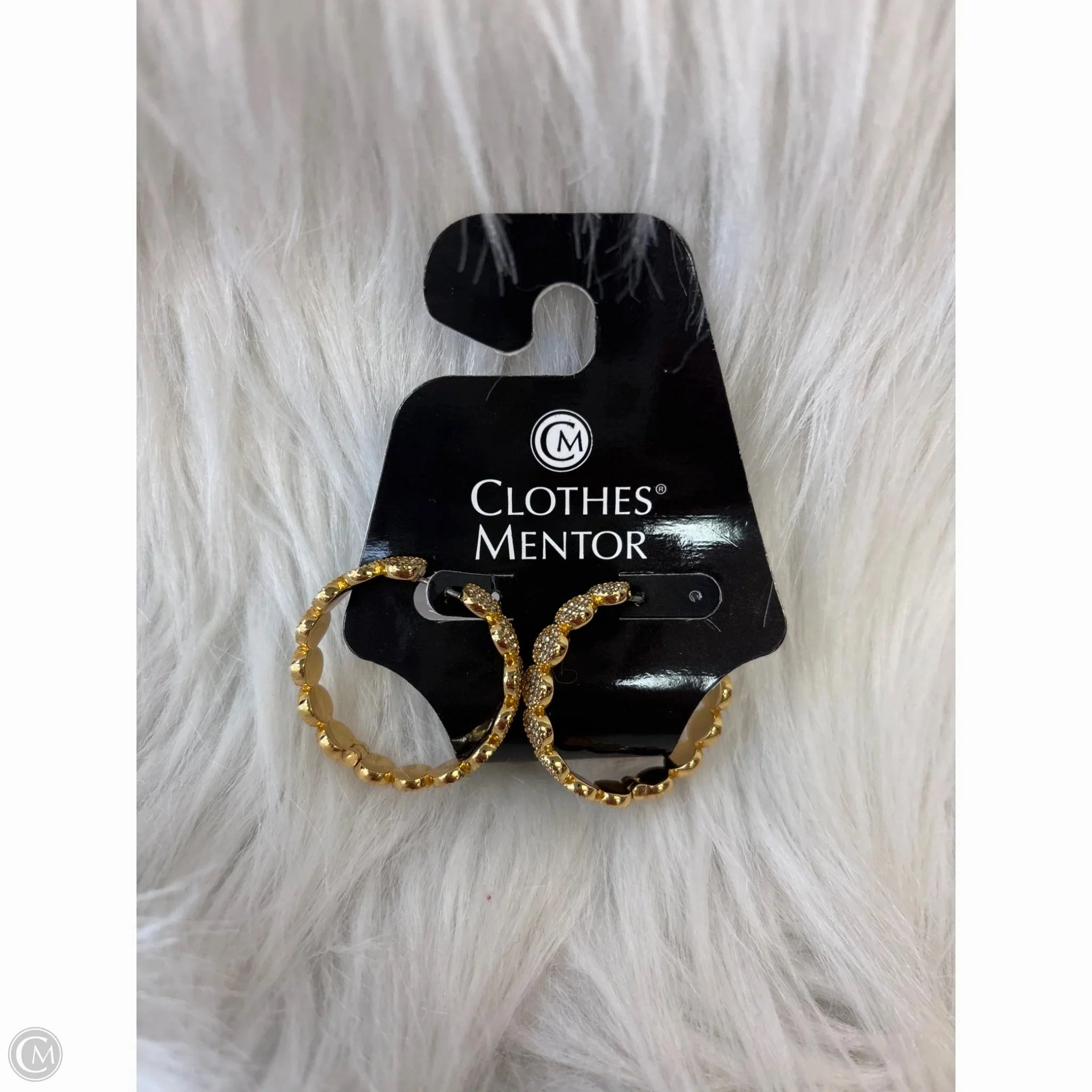 Earrings Hoop By Clothes Mentor