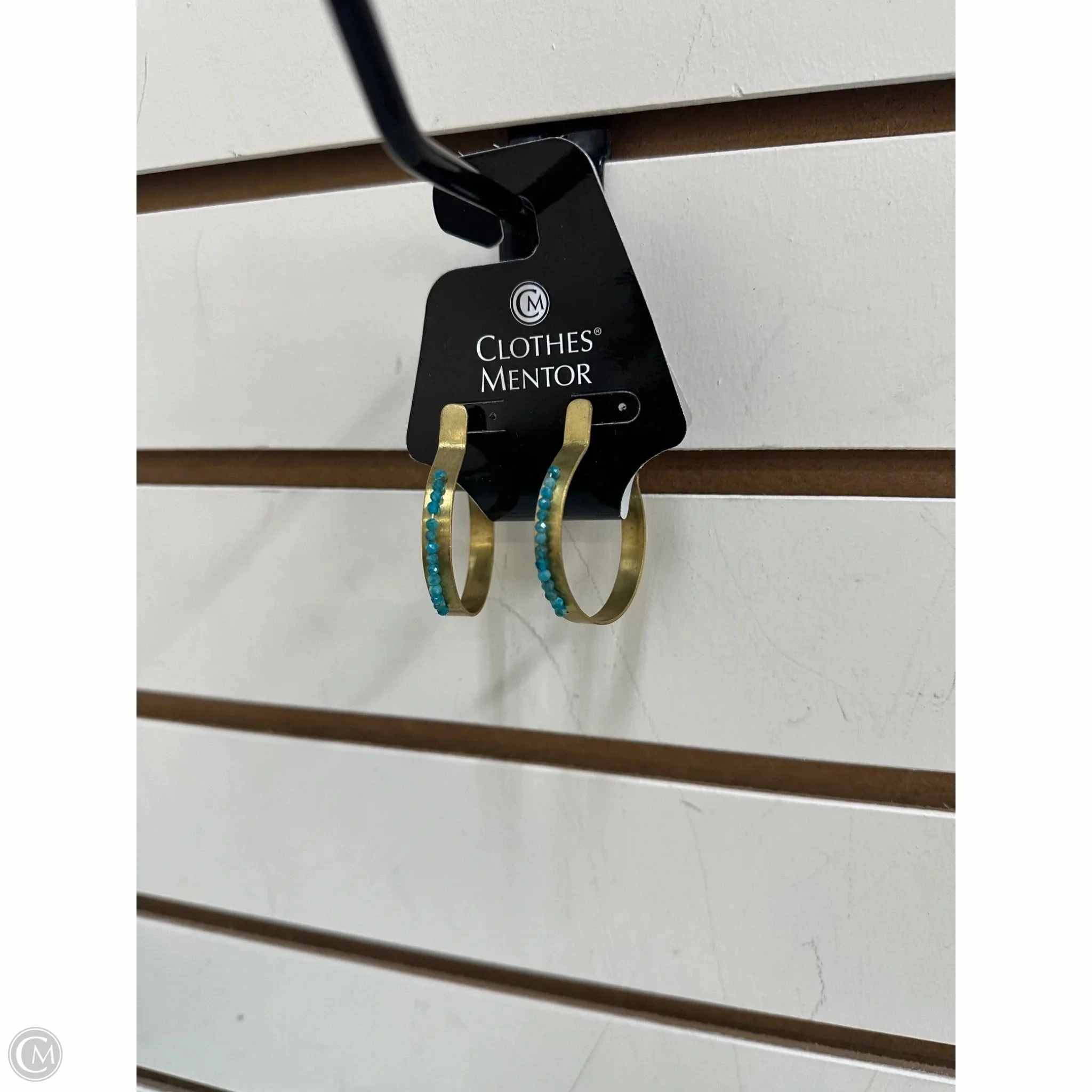 Earrings Hoop By Clothes Mentor