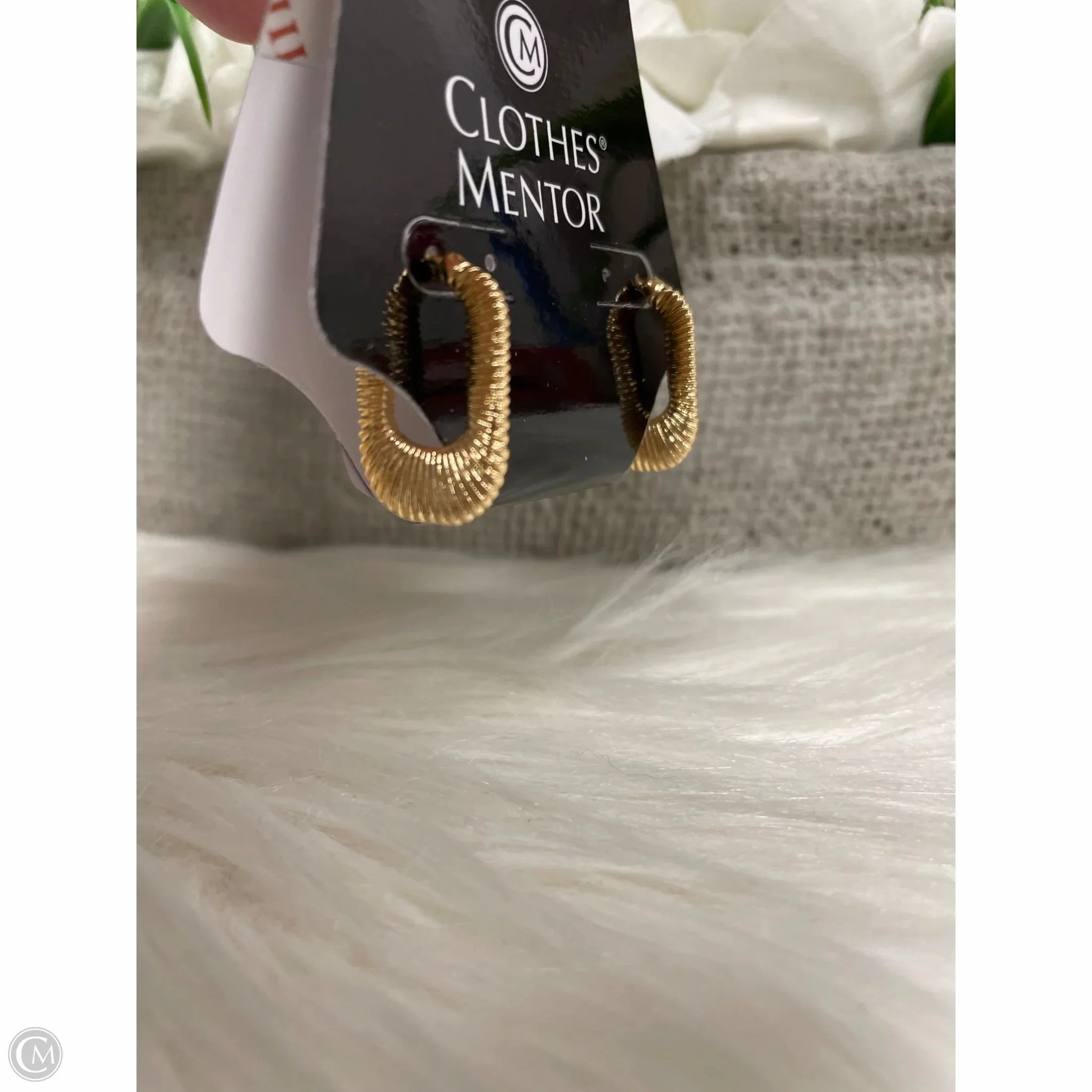 Earrings Hoop By Cmf