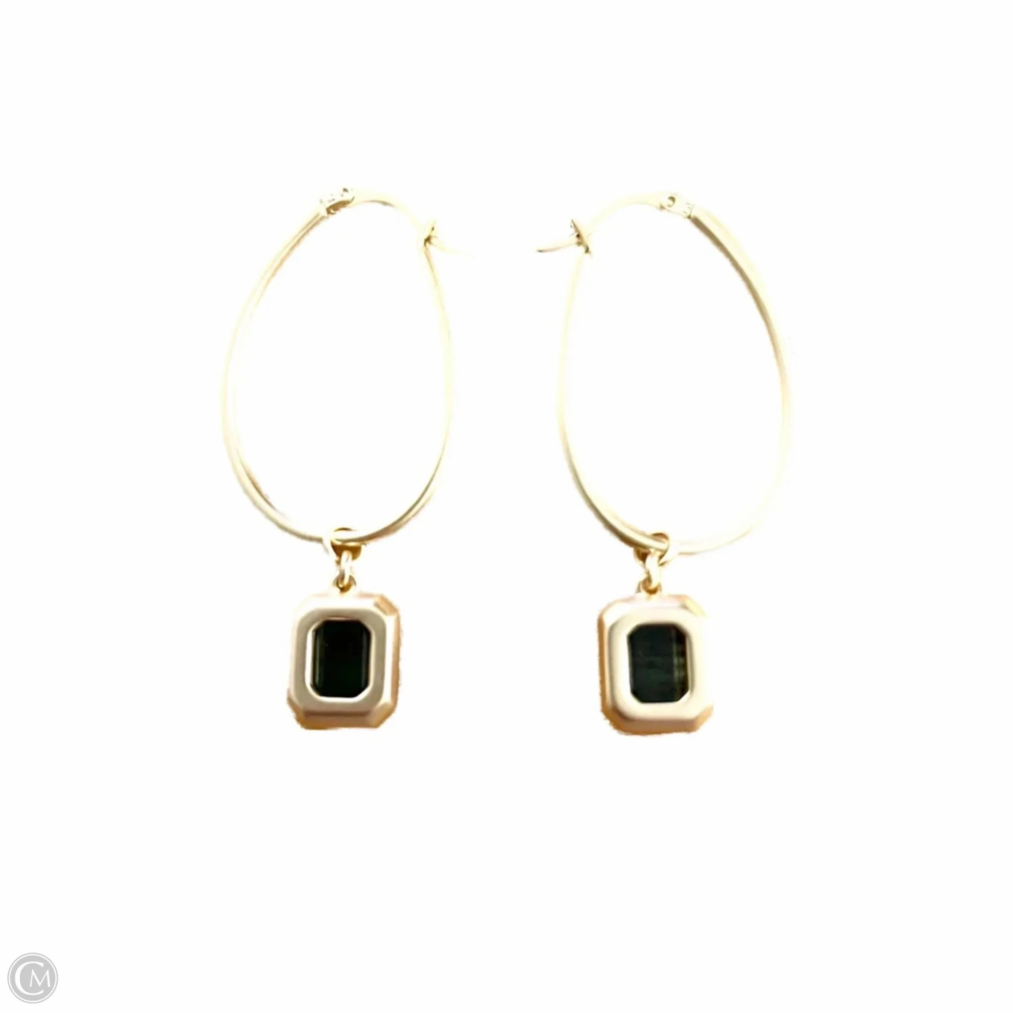 Earrings Hoop By Spartina