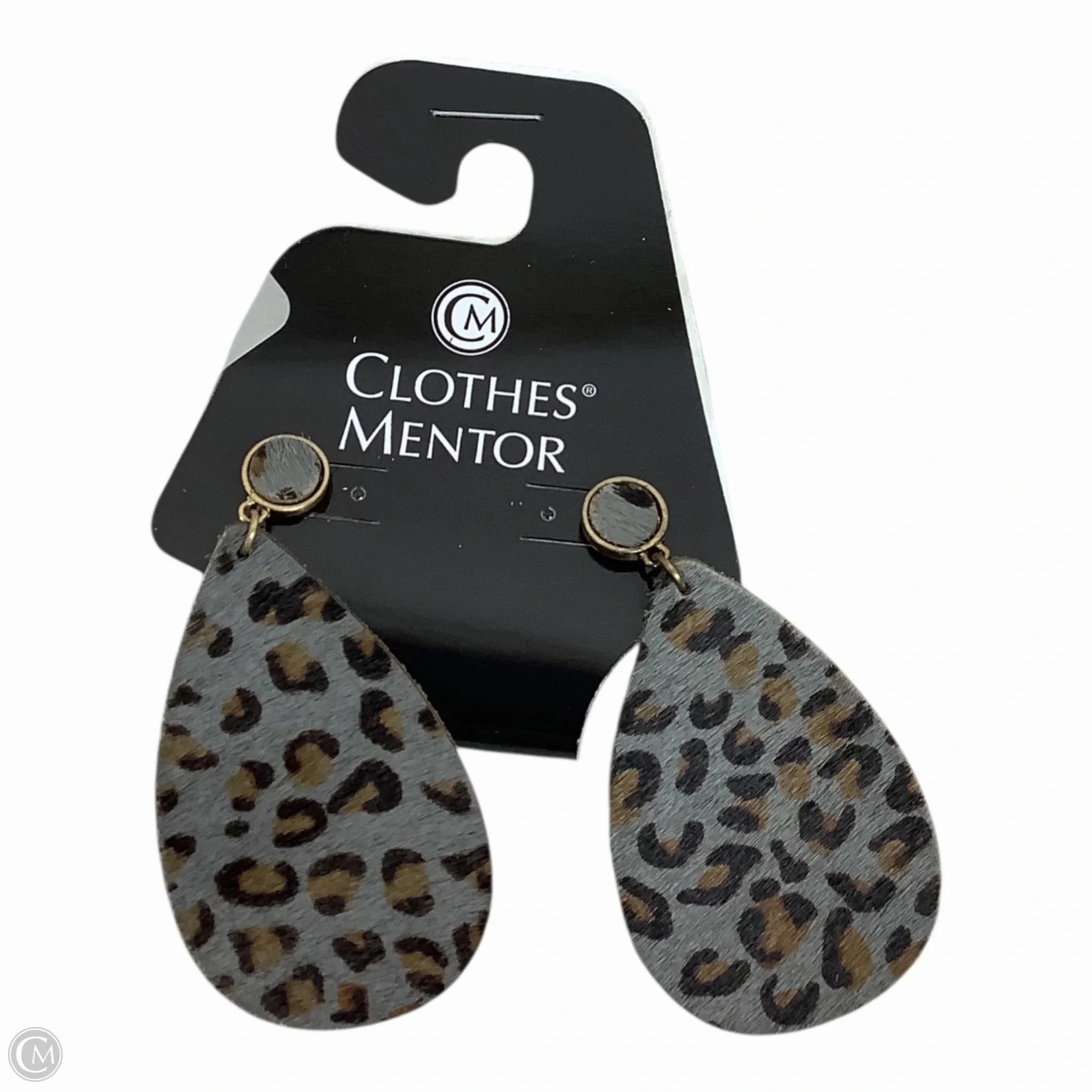 Earrings Other By Clothes Mentor