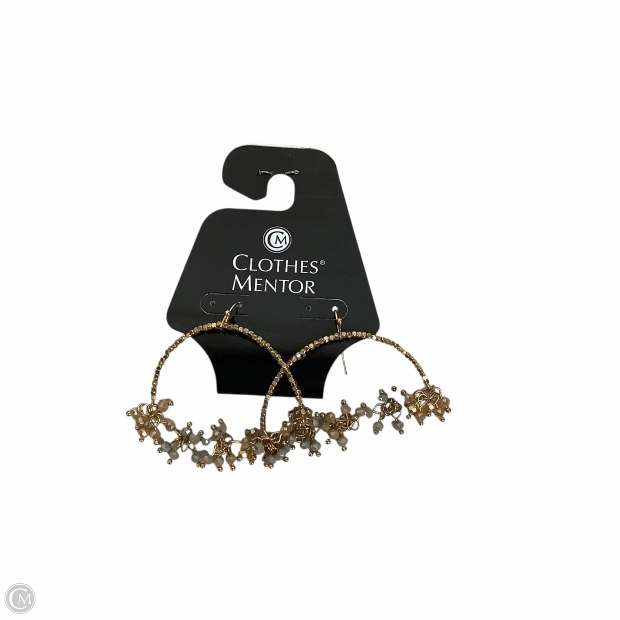 Earrings Other By Clothes Mentor
