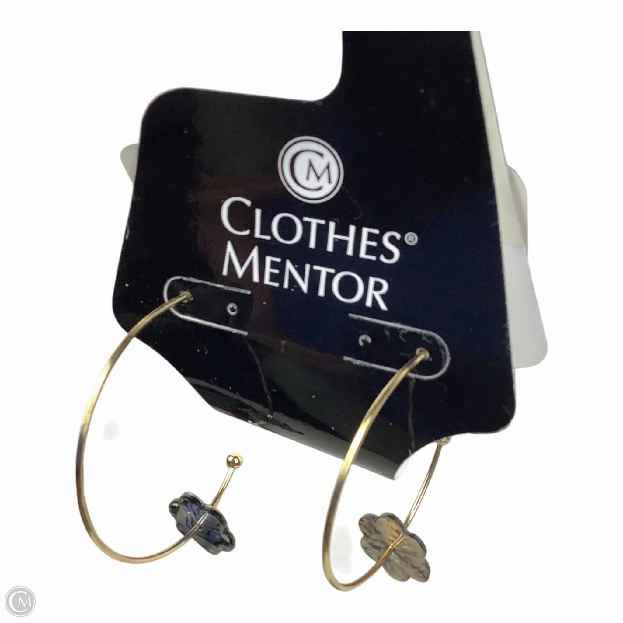 Earrings Other By Clothes Mentor