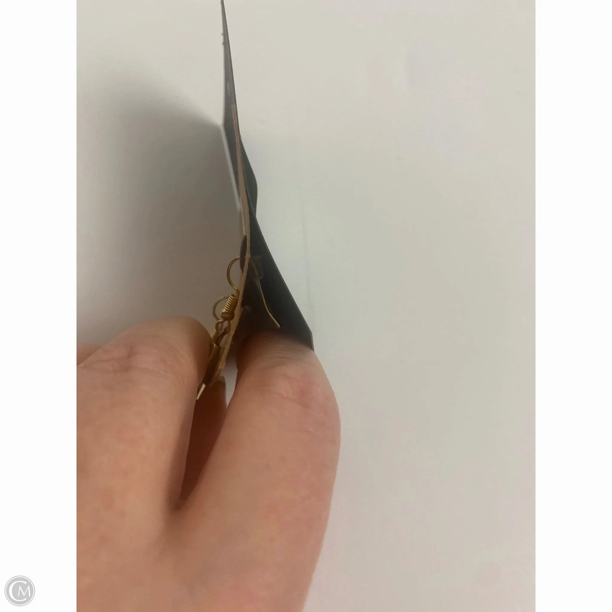 Earrings Other By Plunder