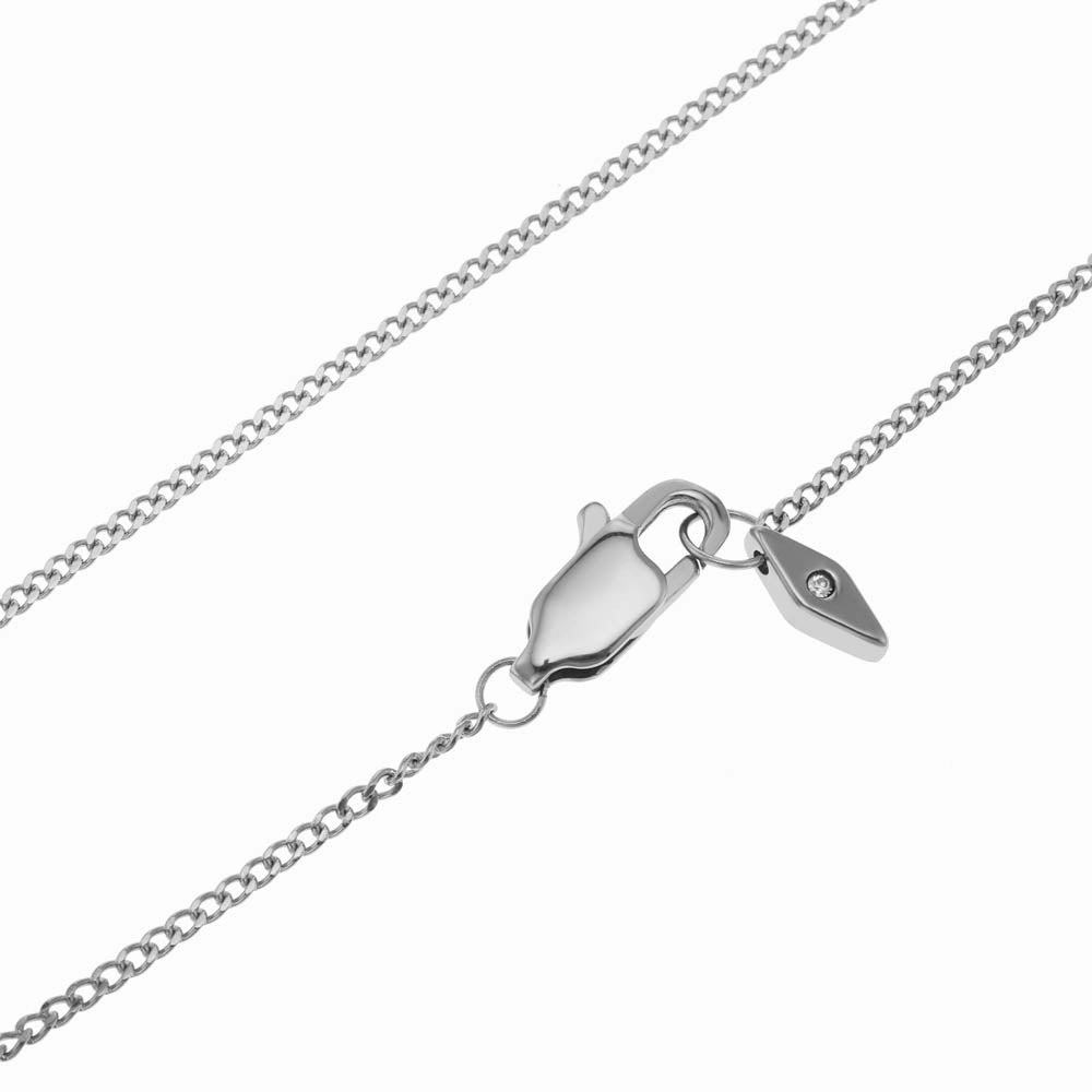 Fossil Silver Plated Stainless Steel Drew ID Pendant with Chain