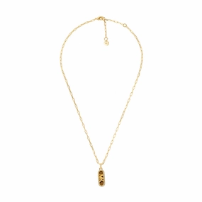 Michael Kors 14ct Yellow Gold Plated Brass Tiger's Eye Dog Tag Pendant with Chain