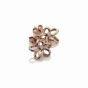 Rose Gold Plated Silver Paradise Open Petal Stud Earrings