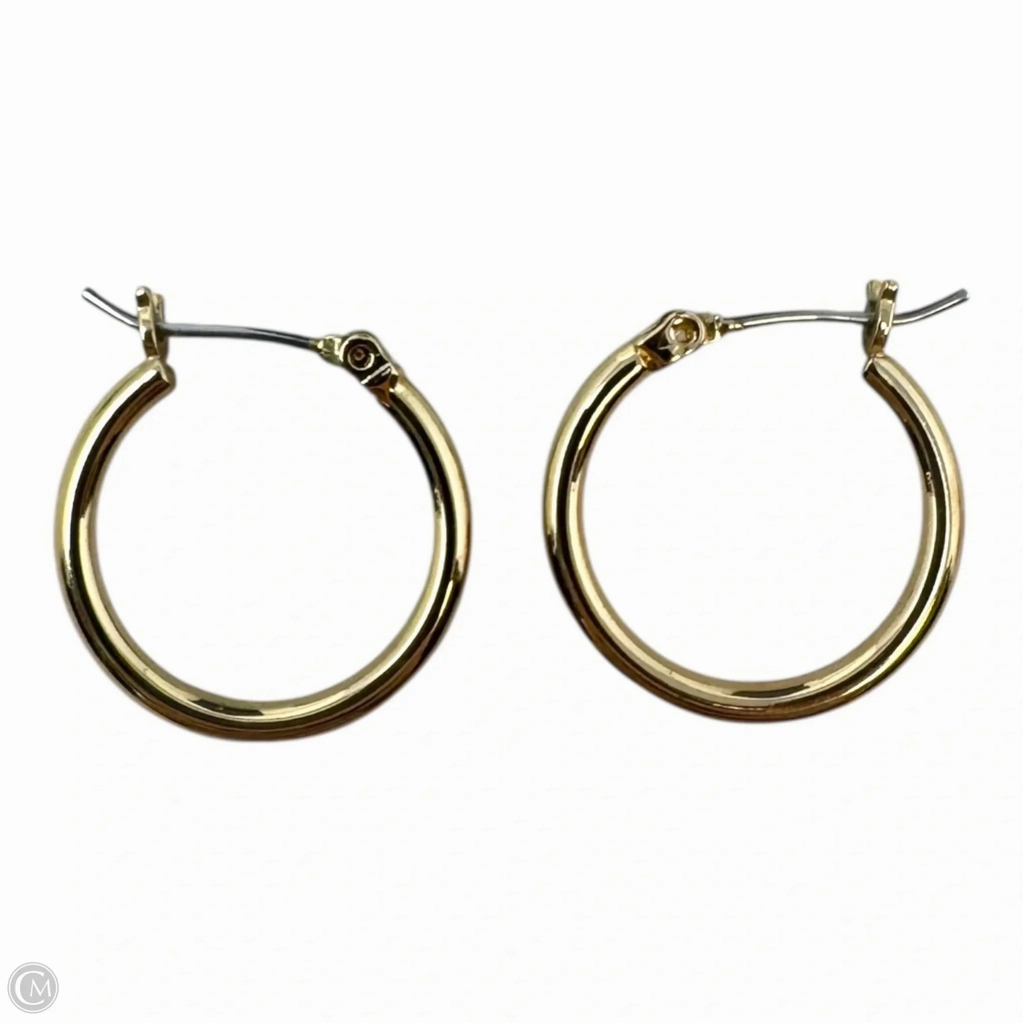Simple Gold Hoop Earrings
